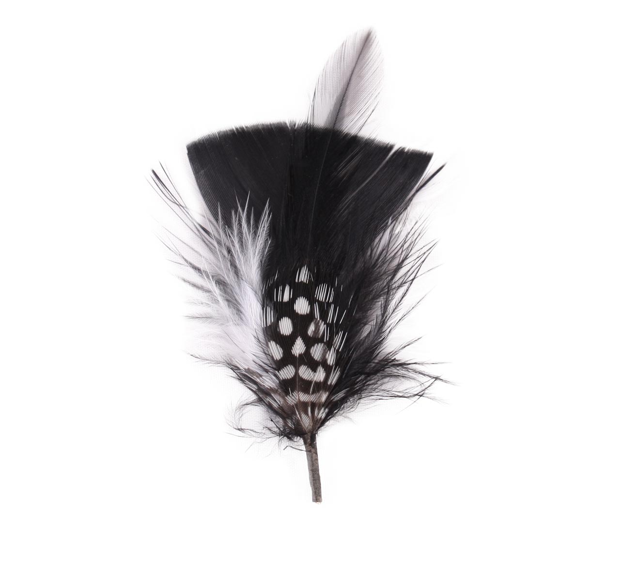 Plumes pour chapeau 