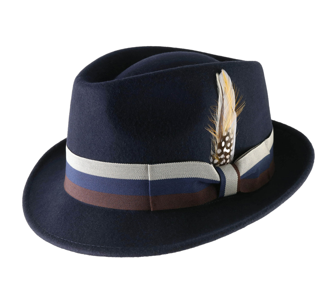 Chapeau trilby plume