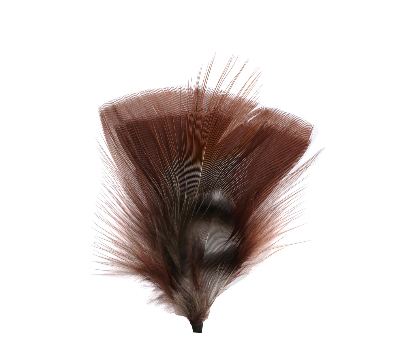 Plumes pour chapeau 