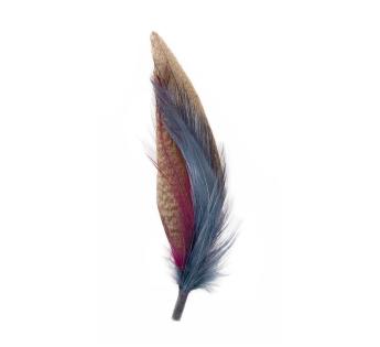 Grandes Plumes BCBG Couture