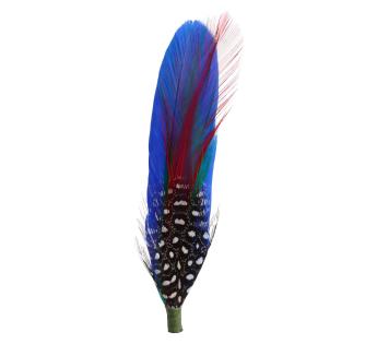 Plumes pour chapeau Plumes pour Chapeau