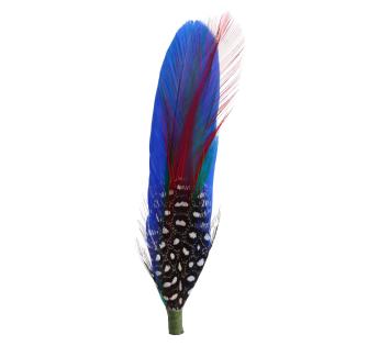 Plumes pour chapeau Plumes Pour Chapeau